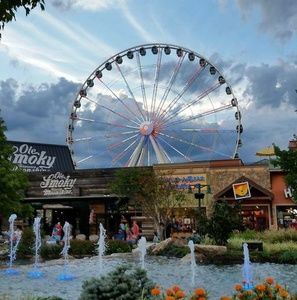 Meet your Posher, Nancy